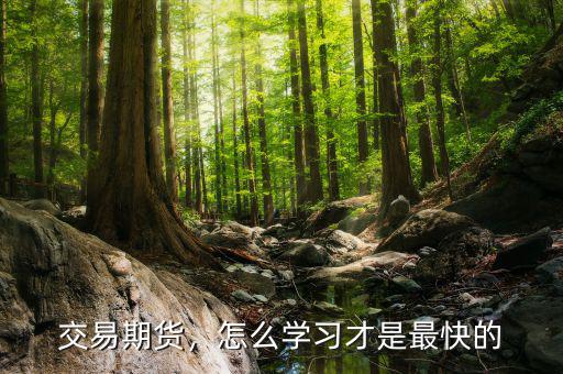 交易期貨，怎么學(xué)習(xí)才是最快的