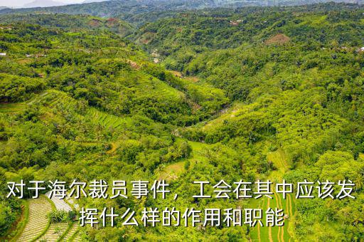 對(duì)于海爾裁員事件，工會(huì)在其中應(yīng)該發(fā)揮什么樣的作用和職能