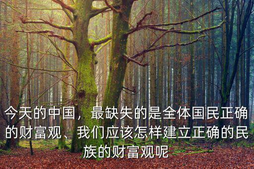 今天的中國，最缺失的是全體國民正確的財(cái)富觀、我們應(yīng)該怎樣建立正確的民族的財(cái)富觀呢