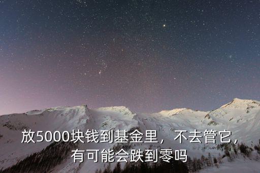 放5000塊錢到基金里，不去管它，有可能會跌到零嗎