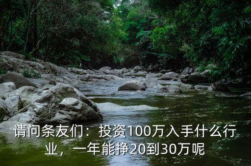 請問條友們：投資100萬入手什么行業(yè)，一年能掙20到30萬呢