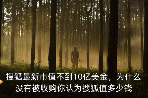 搜狐最新市值不到10億美金，為什么沒有被收購你認(rèn)為搜狐值多少錢