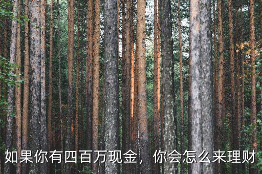 如果你有四百萬(wàn)現(xiàn)金，你會(huì)怎么來(lái)理財(cái)
