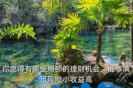你覺得有哪些局部的理財(cái)機(jī)會，能夠滿足風(fēng)險小收益高