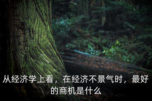 從經(jīng)濟(jì)學(xué)上看，在經(jīng)濟(jì)不景氣時(shí)，最好的商機(jī)是什么