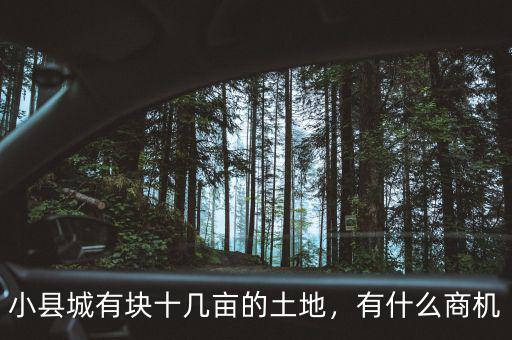 小縣城有塊十幾畝的土地，有什么商機(jī)
