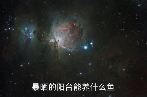 暴曬的陽(yáng)臺(tái)能養(yǎng)什么魚(yú)