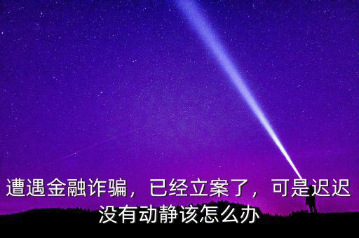遭遇金融詐騙，已經(jīng)立案了，可是遲遲沒有動靜該怎么辦