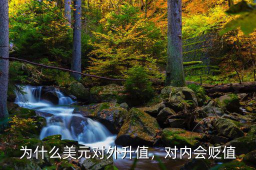 為什么美元對外升值，對內(nèi)會貶值