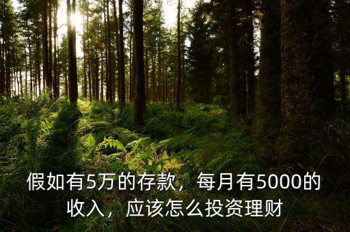 假如有5萬的存款，每月有5000的收入，應(yīng)該怎么投資理財(cái)