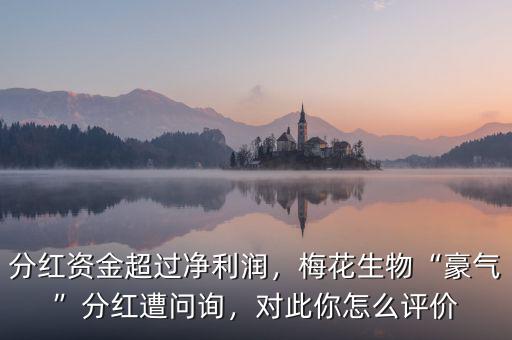 分紅資金超過凈利潤(rùn)，梅花生物“豪氣”分紅遭問詢，對(duì)此你怎么評(píng)價(jià)