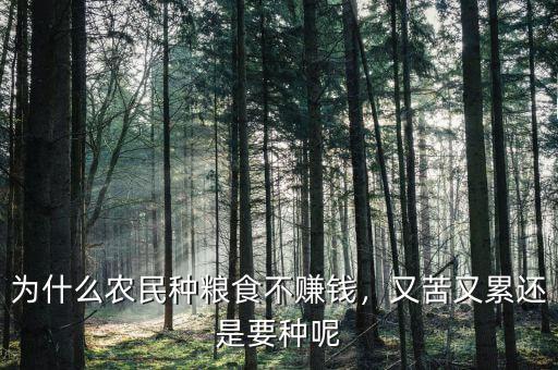 為什么農(nóng)民種糧食不賺錢，又苦又累還是要種呢