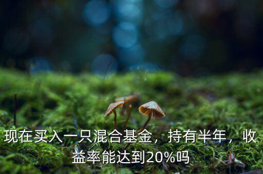 現(xiàn)在買入一只混合基金，持有半年，收益率能達(dá)到20%嗎