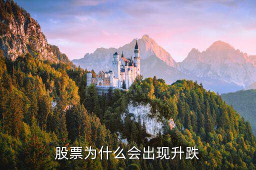 股票為什么會出現升跌