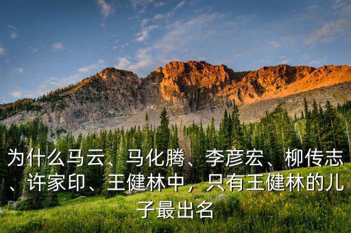 為什么馬云、馬化騰、李彥宏、柳傳志、許家印、王健林中，只有王健林的兒子最出名