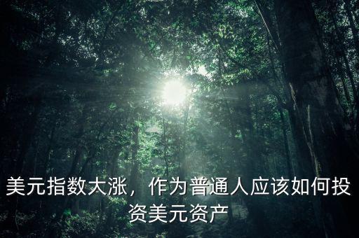 美元指數(shù)大漲，作為普通人應(yīng)該如何投資美元資產(chǎn)