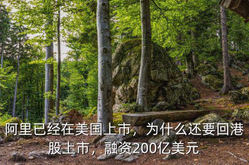 阿里已經(jīng)在美國(guó)上市，為什么還要回港股上市，融資200億美元