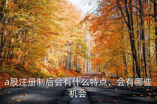 a股注冊(cè)制后會(huì)有什么特點(diǎn)，會(huì)有哪些機(jī)會(huì)
