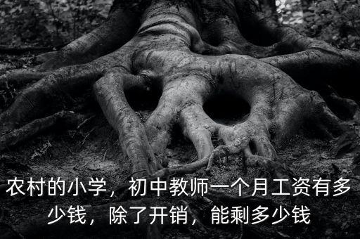 農(nóng)村的小學(xué)，初中教師一個月工資有多少錢，除了開銷，能剩多少錢