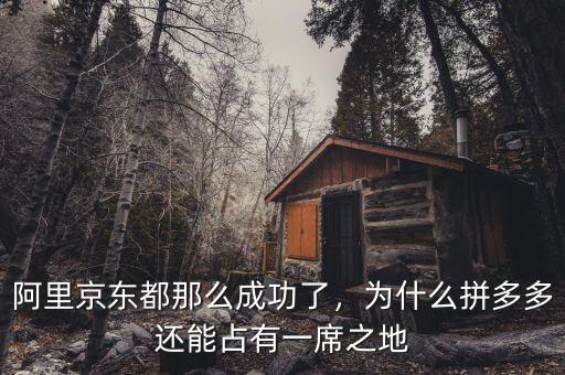 阿里京東都那么成功了，為什么拼多多還能占有一席之地
