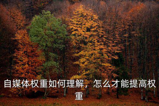 自媒體權(quán)重如何理解，怎么才能提高權(quán)重