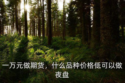 一萬元做期貨，什么品種價格低可以做夜盤