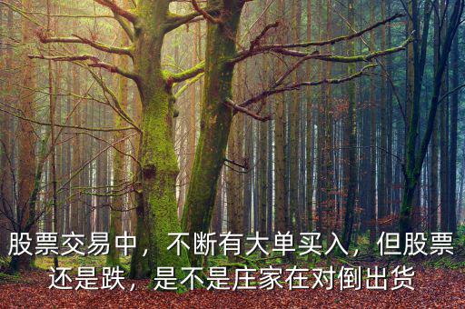 股票顯示大單買(mǎi)入什么意思,股票經(jīng)常有大單買(mǎi)入
