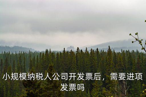 小規(guī)模納稅人公司開發(fā)票后，需要進(jìn)項(xiàng)發(fā)票嗎