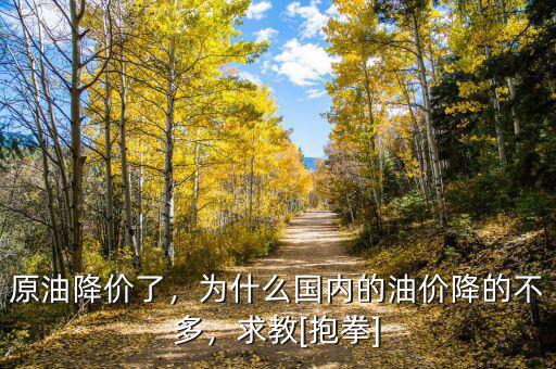原油降價了，為什么國內(nèi)的油價降的不多，求教[抱拳]