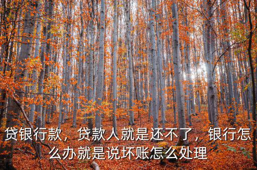 貸銀行款，貸款人就是還不了，銀行怎么辦就是說(shuō)壞賬怎么處理