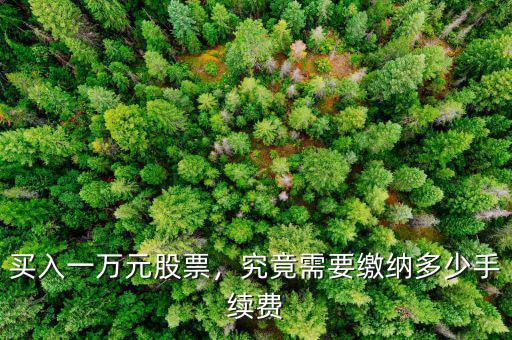 買入一萬元股票，究竟需要繳納多少手續(xù)費(fèi)