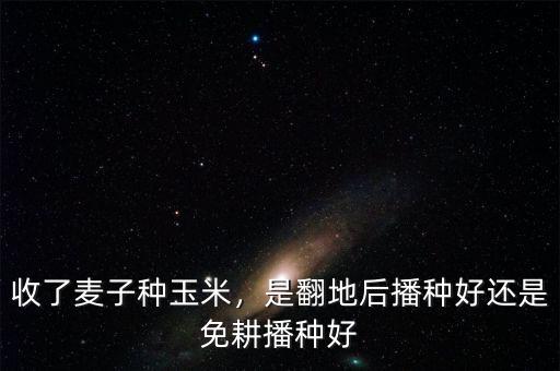 收了麥子種玉米，是翻地后播種好還是免耕播種好