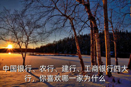 中國銀行、農(nóng)行、建行、工商銀行四大行，你喜歡哪一家為什么