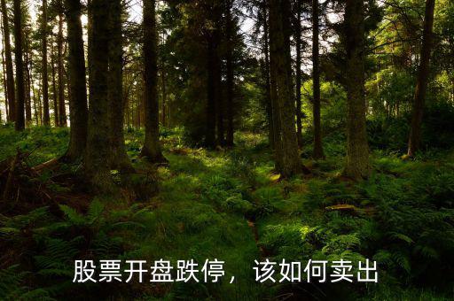 股票開盤跌停，該如何賣出
