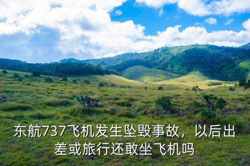 東航737飛機(jī)發(fā)生墜毀事故，以后出差或旅行還敢坐飛機(jī)嗎