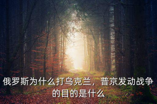 俄羅斯為什么打?yàn)蹩颂m，普京發(fā)動(dòng)戰(zhàn)爭的目的是什么