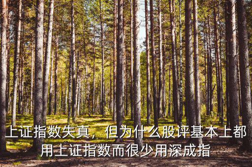 上證指數(shù)失真，但為什么股評基本上都用上證指數(shù)而很少用深成指