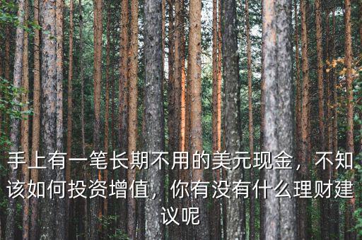 手上有一筆長期不用的美元現(xiàn)金，不知該如何投資增值，你有沒有什么理財建議呢