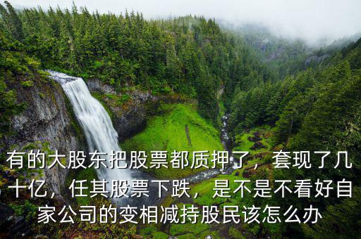 有的大股東把股票都質(zhì)押了，套現(xiàn)了幾十億，任其股票下跌，是不是不看好自家公司的變相減持股民該怎么辦