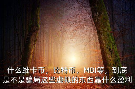 什么維卡幣，比特幣，MBI等，到底是不是騙局這些虛擬的東西靠什么盈利