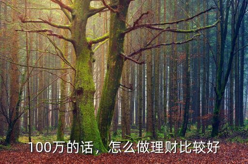 100萬(wàn)以上怎么理財(cái),100萬(wàn)的話(huà)