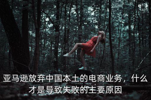 亞馬遜放棄中國本土的電商業(yè)務(wù)，什么才是導(dǎo)致失敗的主要原因