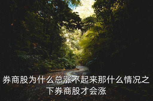券商股為什么總漲不起來那什么情況之下券商股才會(huì)漲