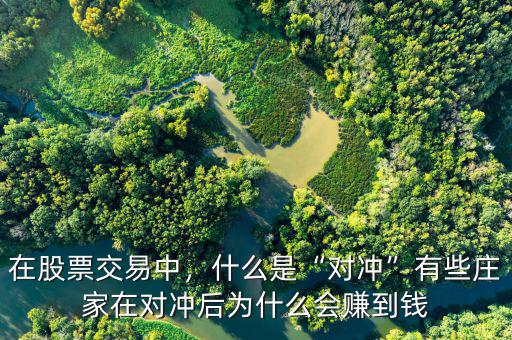 在股票交易中，什么是“對(duì)沖”有些莊家在對(duì)沖后為什么會(huì)賺到錢