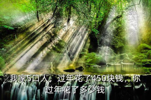 我家5口人，過年花了450塊錢，你過年花了多少錢
