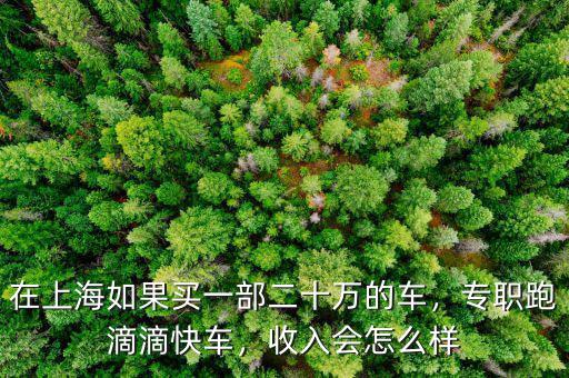 在上海如果買一部二十萬的車，專職跑滴滴快車，收入會怎么樣
