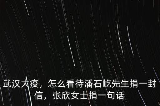 武漢大疫，怎么看待潘石屹先生捐一封信，張欣女士捐一句話(huà)