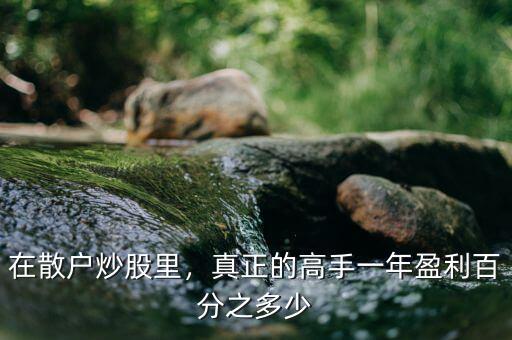 在散戶炒股里，真正的高手一年盈利百分之多少