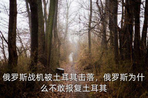 俄羅斯戰(zhàn)機(jī)被土耳其擊落，俄羅斯為什么不敢報(bào)復(fù)土耳其