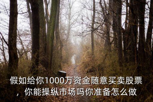 假如給你1000萬資金隨意買賣股票，你能操縱市場嗎你準備怎么做